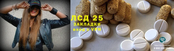 стафф Алексин