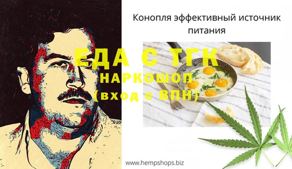 тгк Алзамай