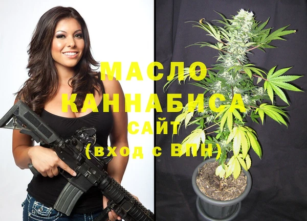 тгк Алзамай