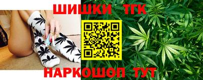 шишки Гатчина