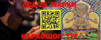 индика Гагарин