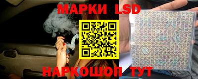 шишки Гатчина