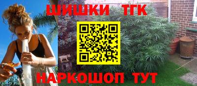 индика Гагарин