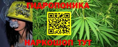 шишки Гатчина