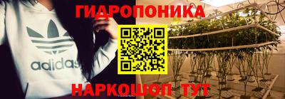 индика Гагарин