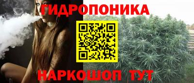 скорость Гай