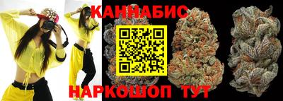 шишки Гатчина