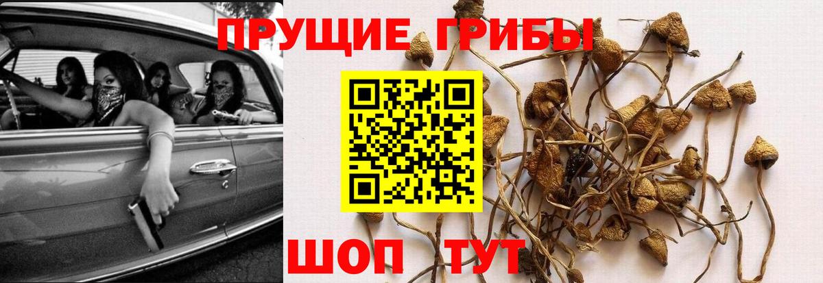 Галлюциногенные грибы мицелий  Вход с VPN  Красногорск 